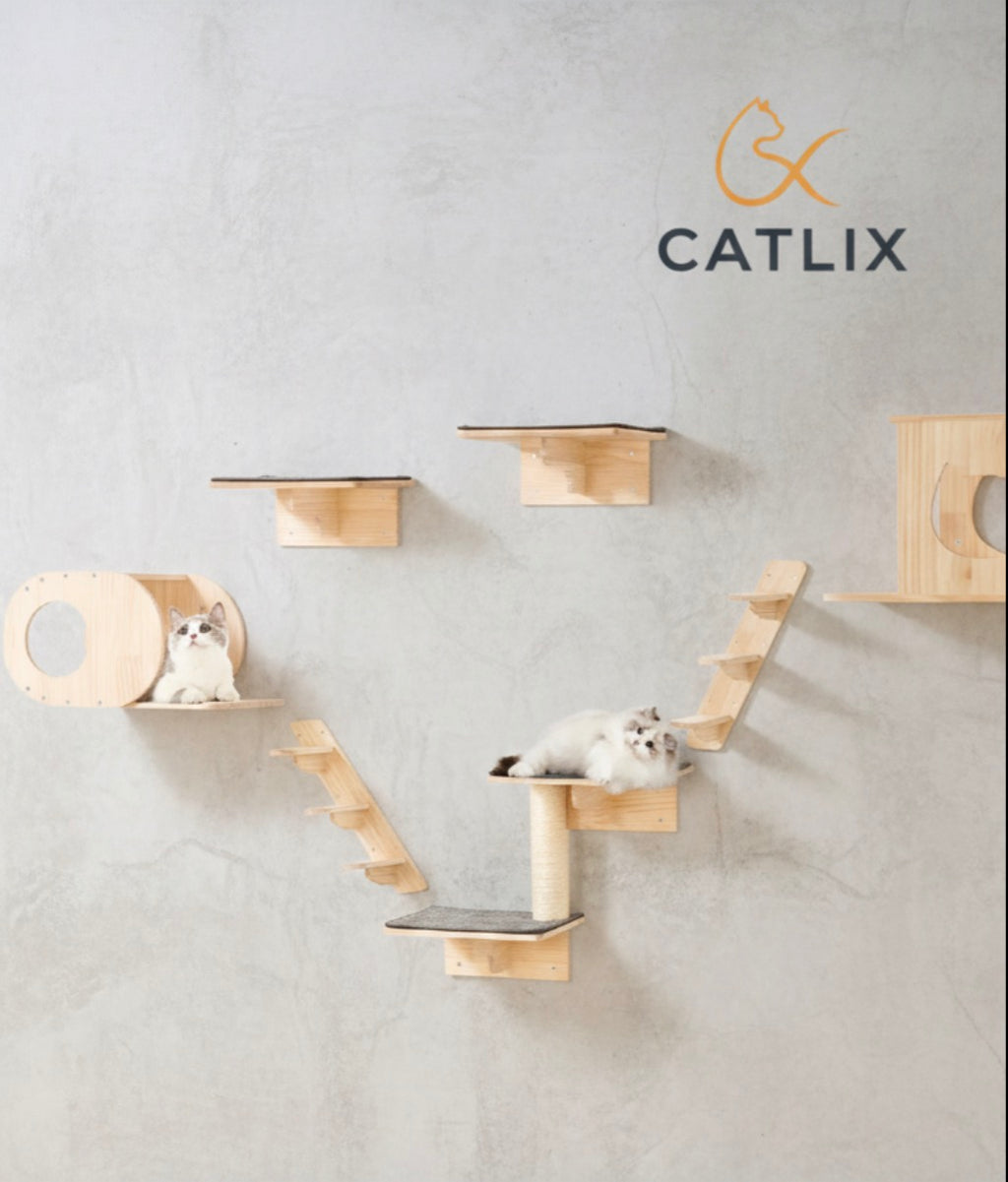 Étagères Murales pour Chat — Kit Complet Bois Pin 12 mm Charge 18 kg Hamac — Arbre à Chat CATLYX