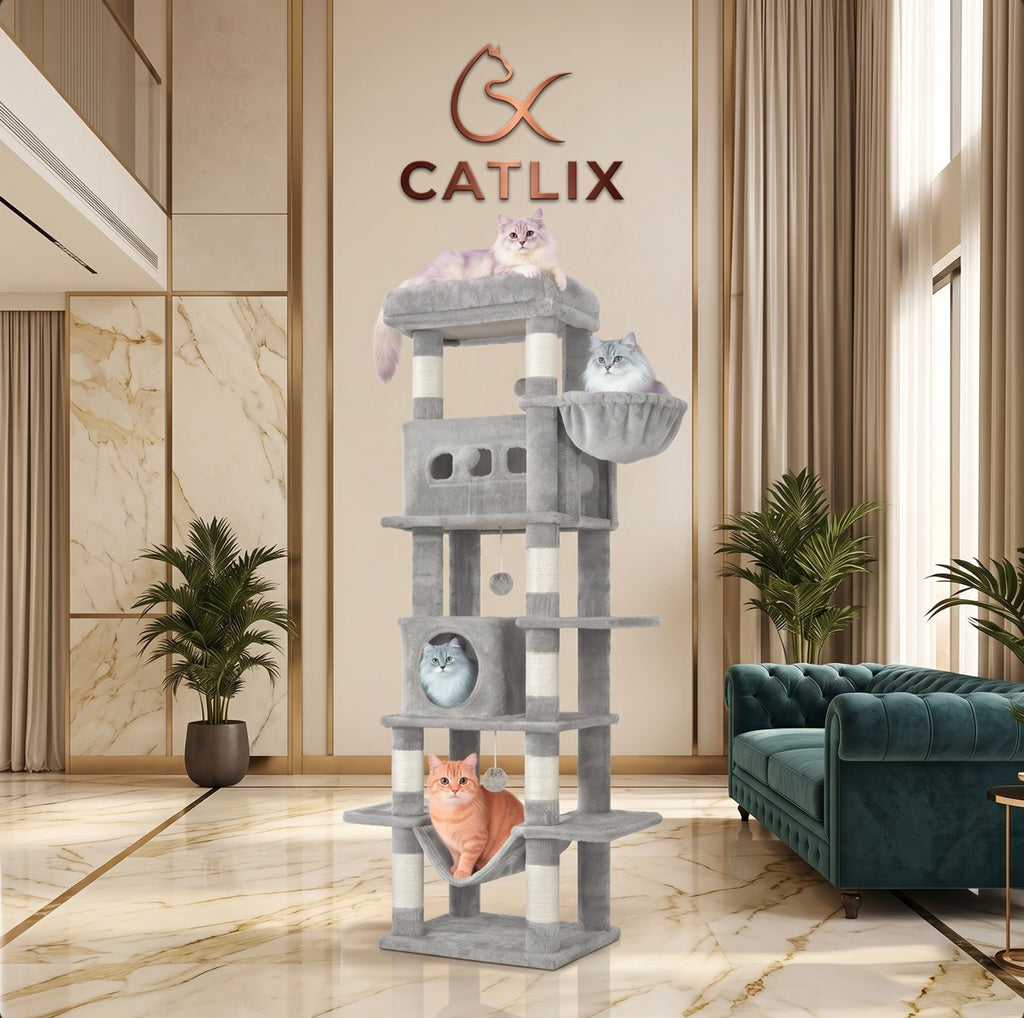 Arbre à Chat 170 cm — 6 Niveaux 8 Griffoirs Sisal Plateforme Lavable — Arbre à Chat CATLYX