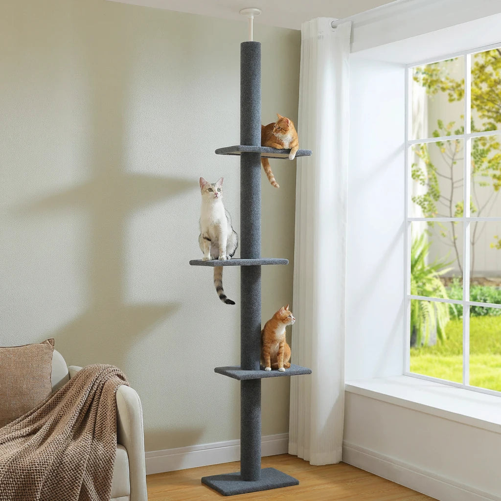 Arbre à Chat Sol au Plafond — Hauteur Réglable 228 à 273 cm 3 Plateformes Sisal — Arbre à Chat CATLYX