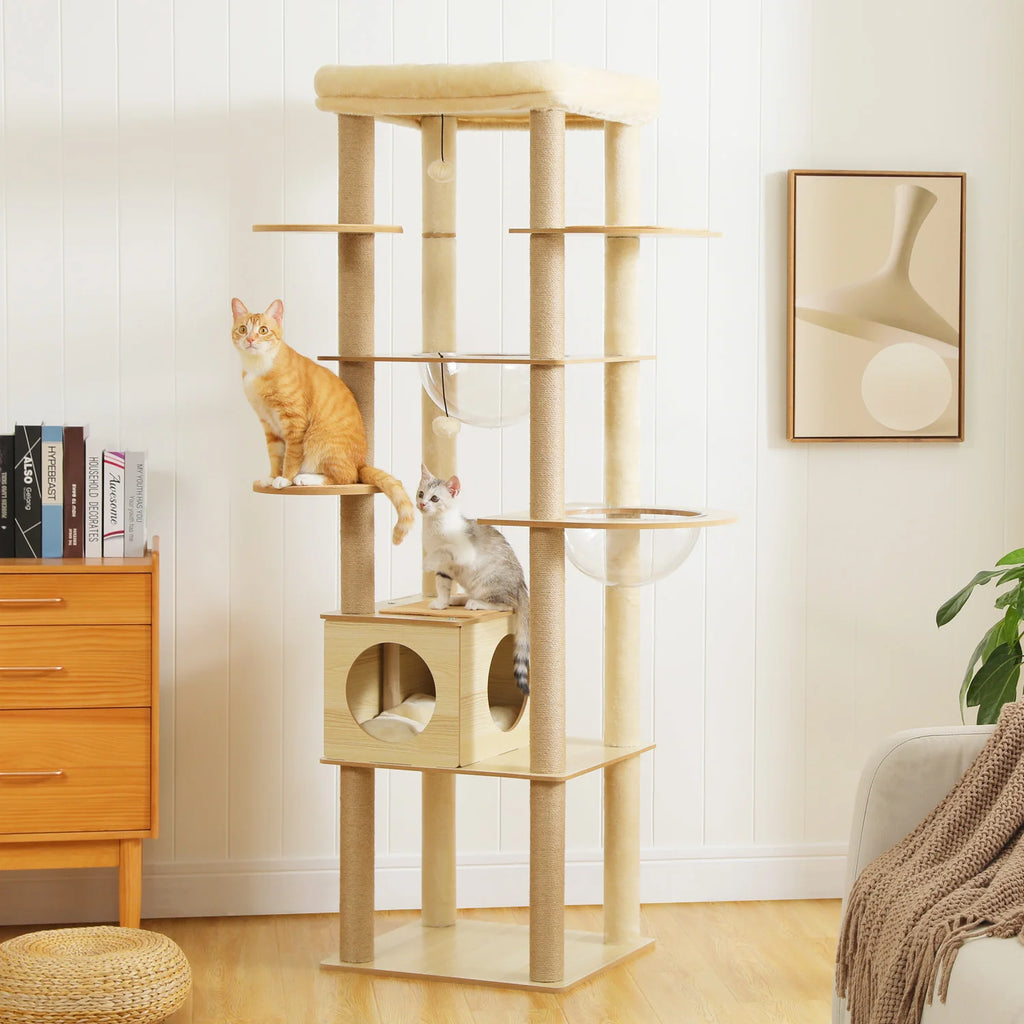 Arbre à Chat Bois Multi-Niveaux — Condo Spacieux Hamac Acrylique Perchoir Beige — Arbre à Chat CATLYX