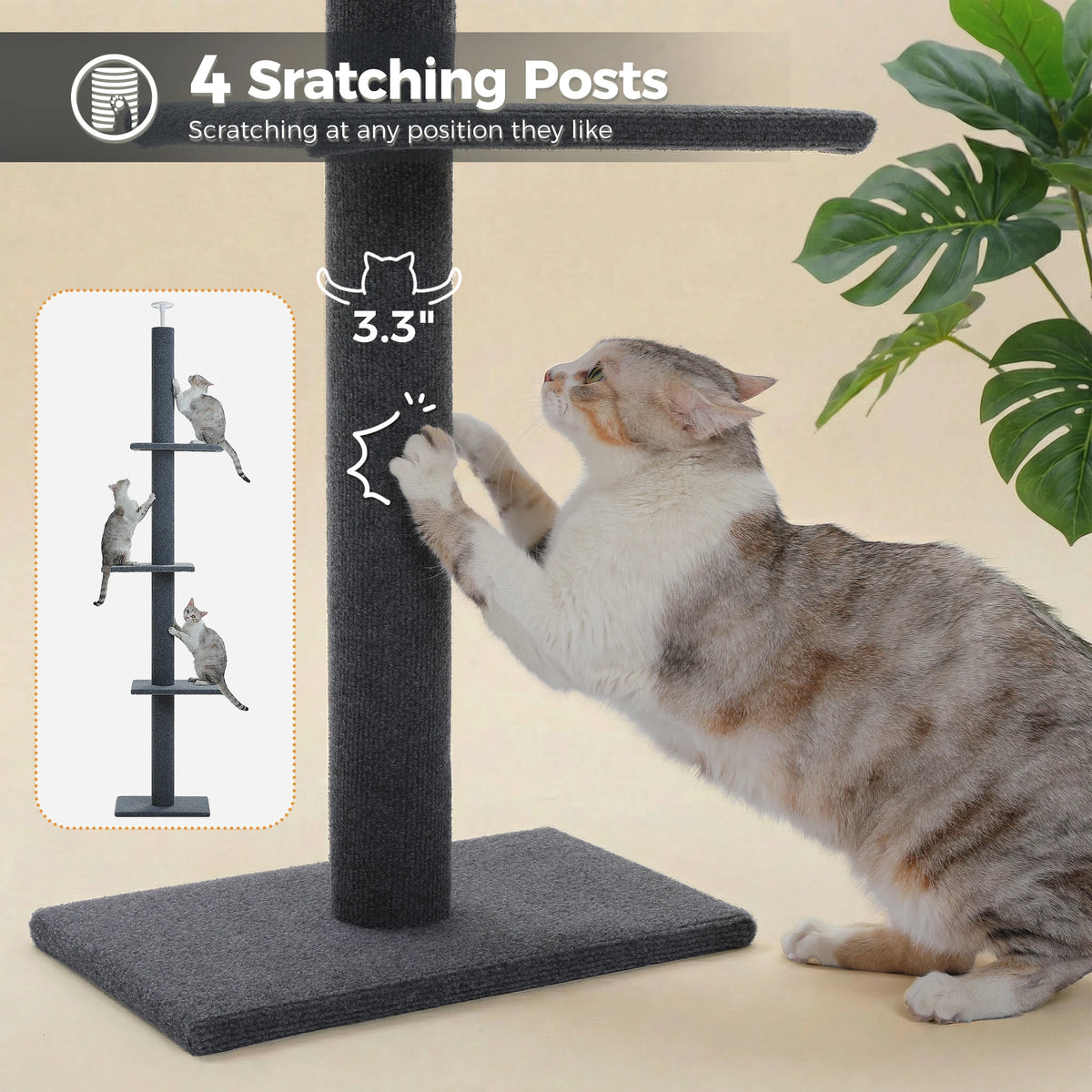 Arbre à Chat Sol au Plafond — Hauteur Réglable 228 à 273 cm 3 Plateformes Sisal — Arbre à Chat CATLYX
