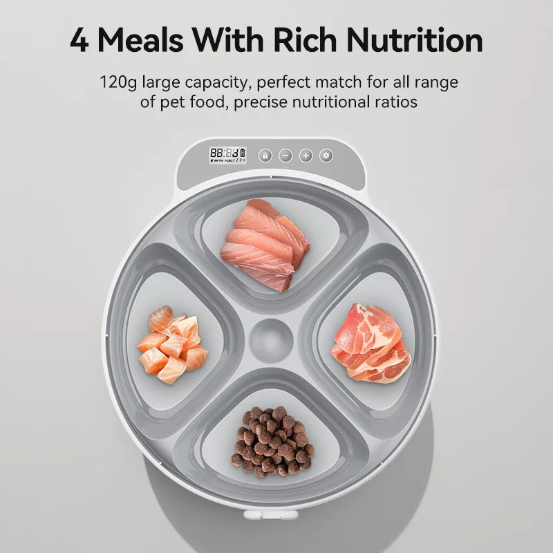Distributeur de Croquettes ROJECO 4 Repas — Aliments Humides et Secs