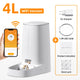 Distributeur de Croquettes ROJECO WiFi 4 L — Contrôle à Distance