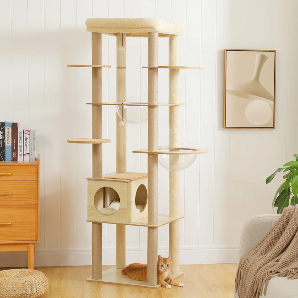 Arbre à Chat Bois Multi-Niveaux — Condo Spacieux Hamac Acrylique Perchoir Beige — Arbre à Chat CATLYX