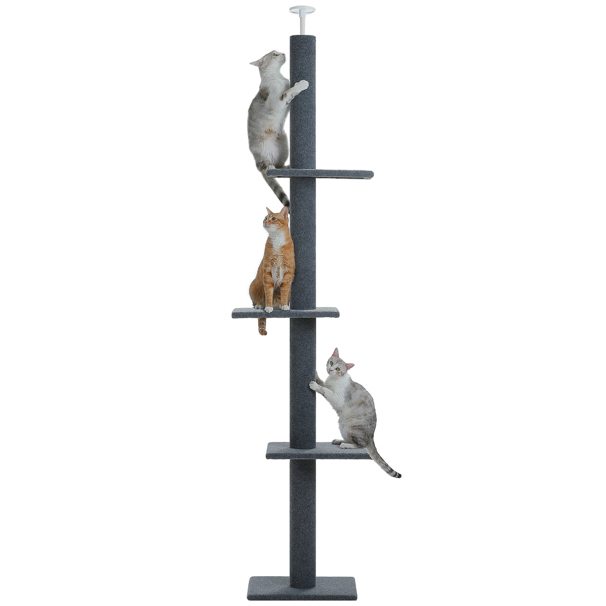 Arbre à Chat Sol au Plafond — Hauteur Réglable 228 à 273 cm 3 Plateformes Sisal — Arbre à Chat CATLYX