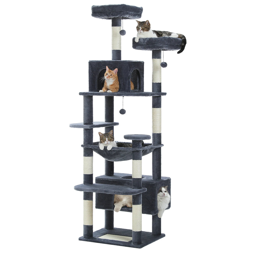 Arbre à Chat Évolutif