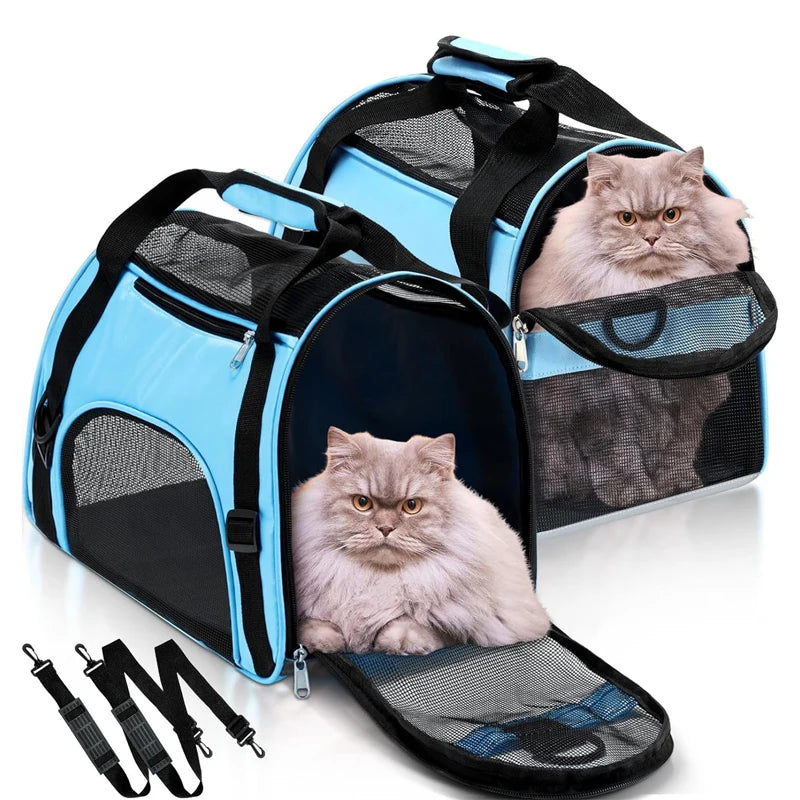 Sac de Transport Portable Respirant pour Chat — Maille Multi-Côtés