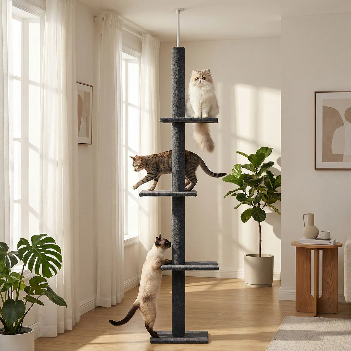 Arbre à Chat Sol au Plafond — Hauteur Réglable 228 à 273 cm 3 Plateformes Sisal — Arbre à Chat CATLYX