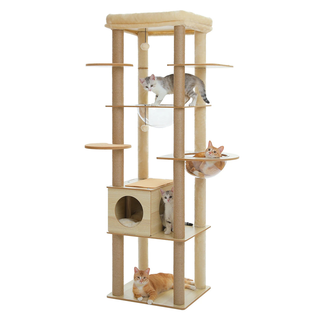 Arbre à Chat Bois Multi-Niveaux — Condo Spacieux Hamac Acrylique Perchoir Beige — Arbre à Chat CATLYX