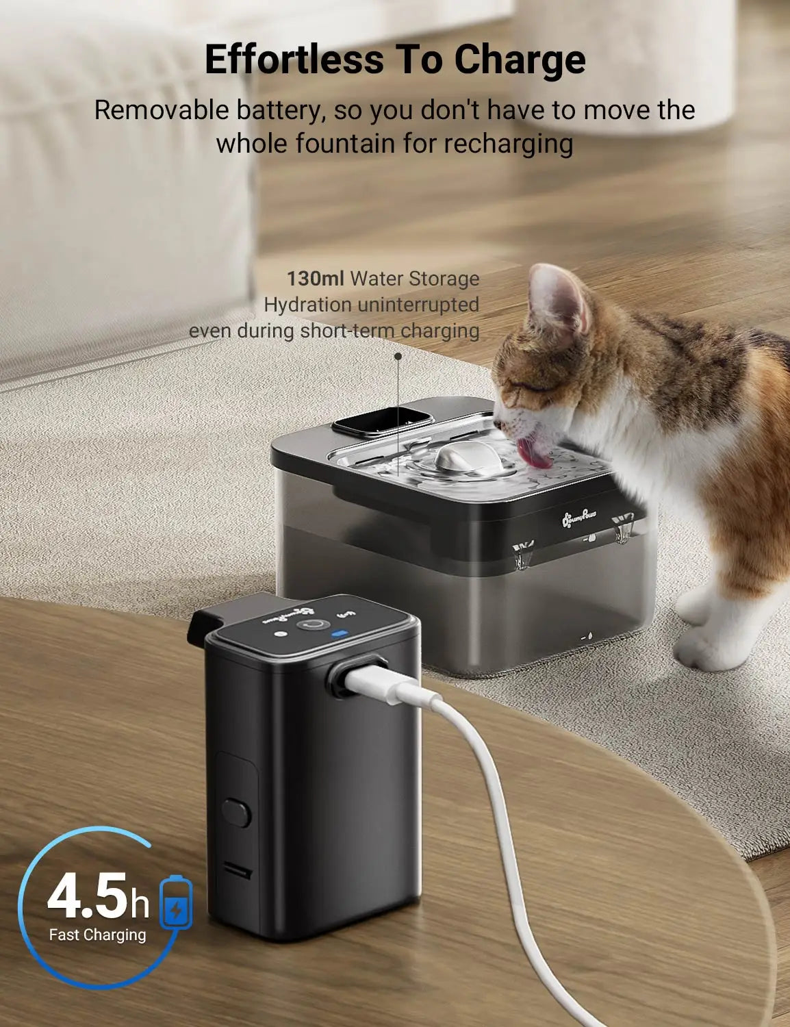 Fontaine à Eau Inox 2,5 L Sans Fil — Batterie 4000 mAh et Capteur de Mouvement
