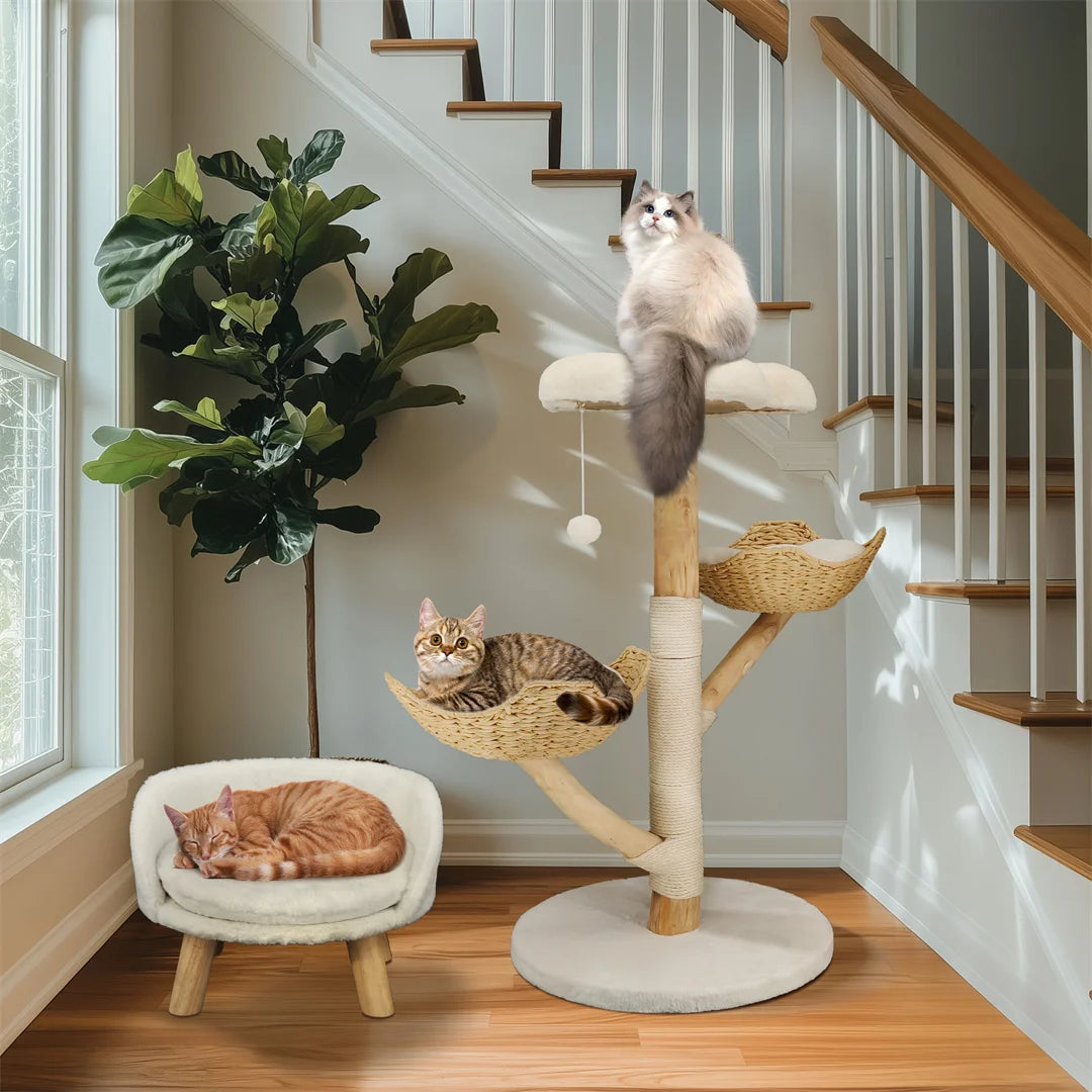 Arbre à Chat 111 cm Bois Saule Naturel — Griffoir Sisal Panier Amovible Balle Pendante — Arbre à Chat CATLYX