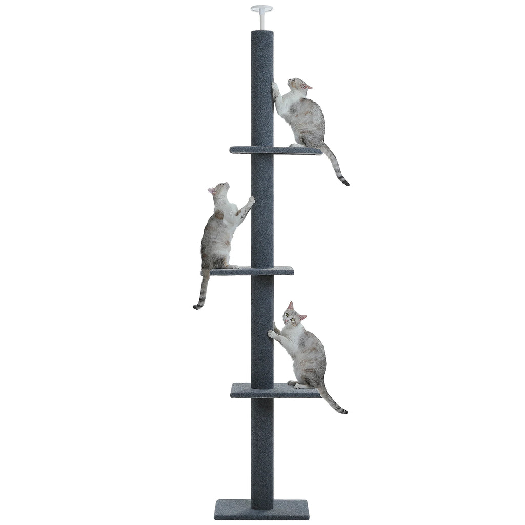 Arbre à Chat Sol au Plafond — Hauteur Réglable 228 à 273 cm 3 Plateformes Sisal — Arbre à Chat CATLYX