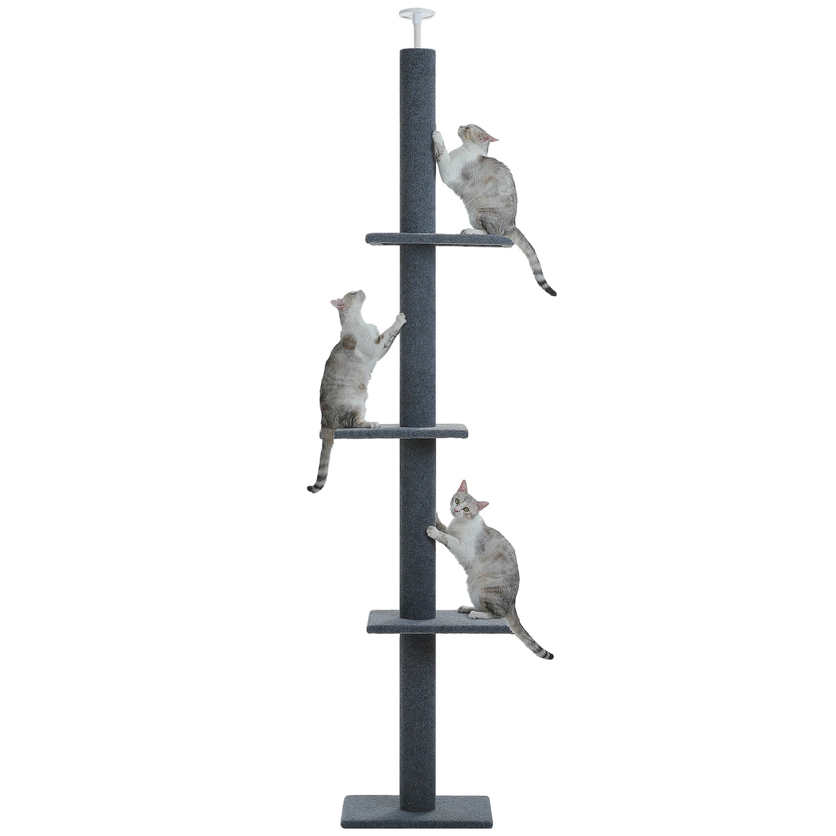 Arbre à Chat Sol au Plafond — Hauteur Réglable 228 à 273 cm 3 Plateformes Sisal — Arbre à Chat CATLYX