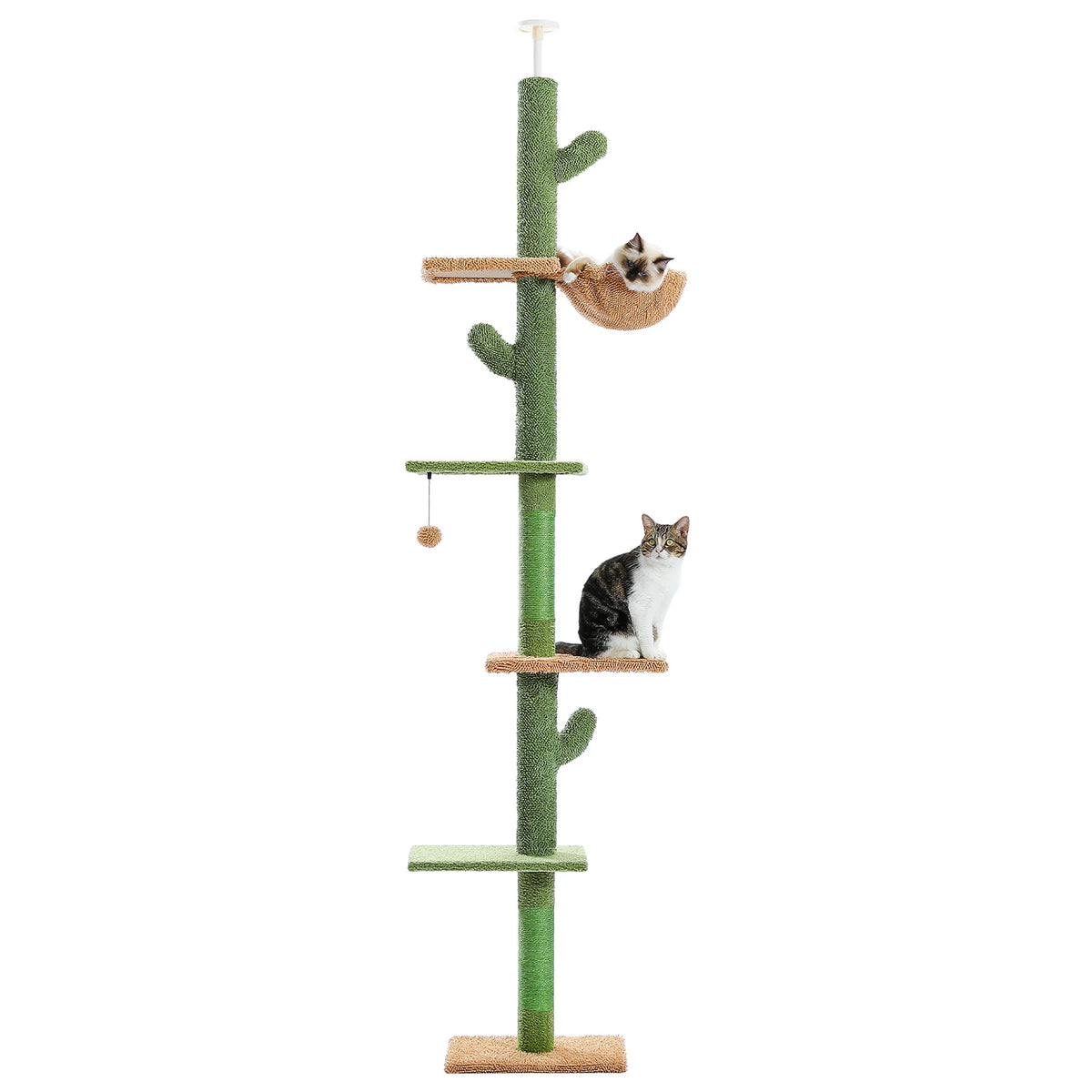 Arbre à Chat Cactus Sol au Plafond — 5 Niveaux Réglable 229 à 275 cm Hamac Sisal Vert — Arbre à Chat CATLYX