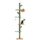Arbre à Chat Cactus Sol au Plafond — 5 Niveaux Réglable 229 à 275 cm Hamac Sisal Vert — Arbre à Chat CATLYX