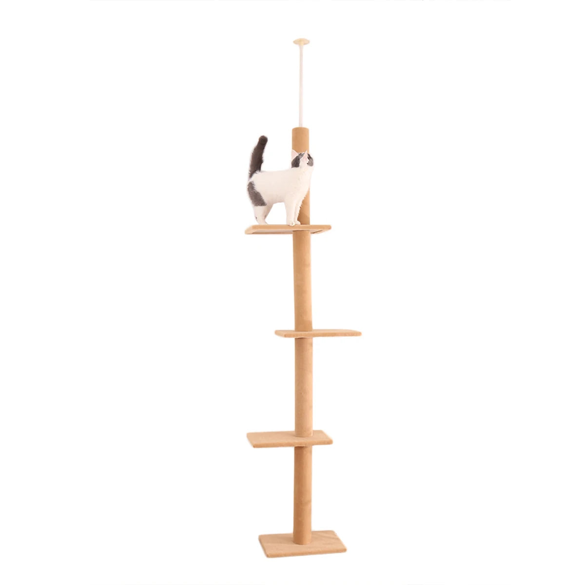 Arbre à Chat Sol au Plafond — Hauteur Réglable 228 à 273 cm 3 Plateformes Sisal — Arbre à Chat CATLYX